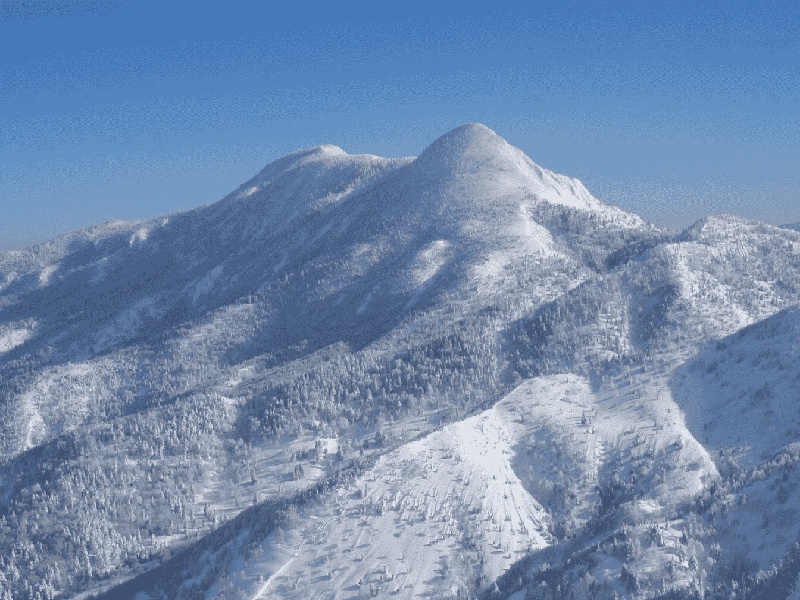 试管婆家不闻不问试管胰岛素标准医院的试管婴儿费用